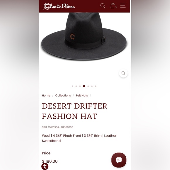 Charlie 1 Horse Desert Drifter fashion hat - Picture 4 of 6